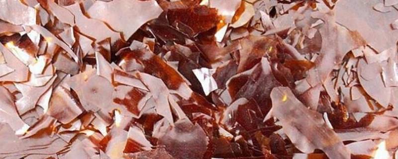 蟲(chóng)膠篩分參考方案